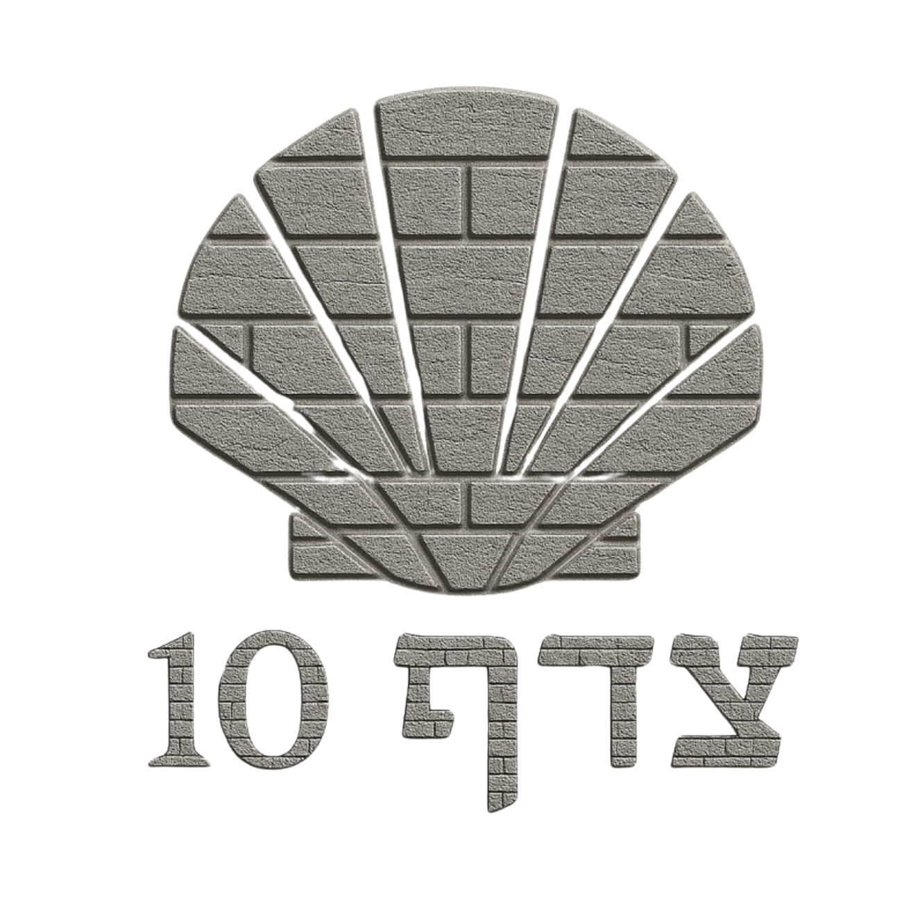 הצדף 10